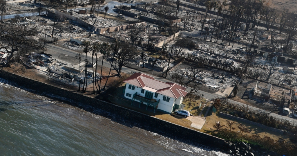 Little red house goes viral after surviving Maui fires due to one ...