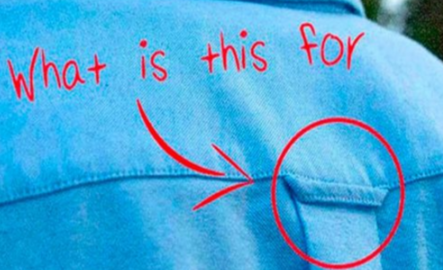Why Do Button-Down Shirts Have Loops On the Back?