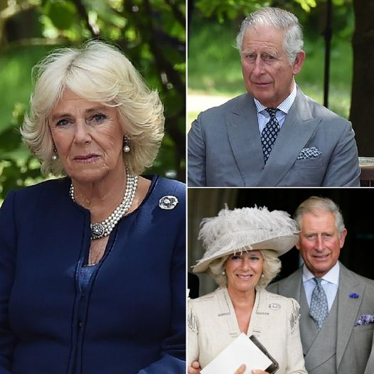 Queen Camilla to take a break from royal duties weeks after King Charles’ cancer diagnosis 