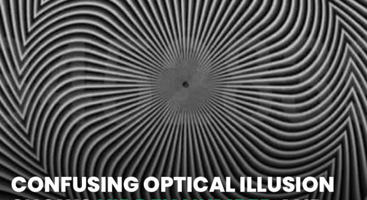 Confusing Optical Illusion Shows Hidden Number And Everyone Is Seeing It Differently