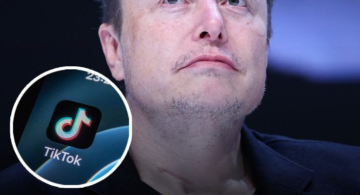 China reportedly in talks to sell TikTok to Elon Musk