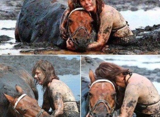 For 3 hours woman stays with trapped horse – then a farmer does everything he can to save its life